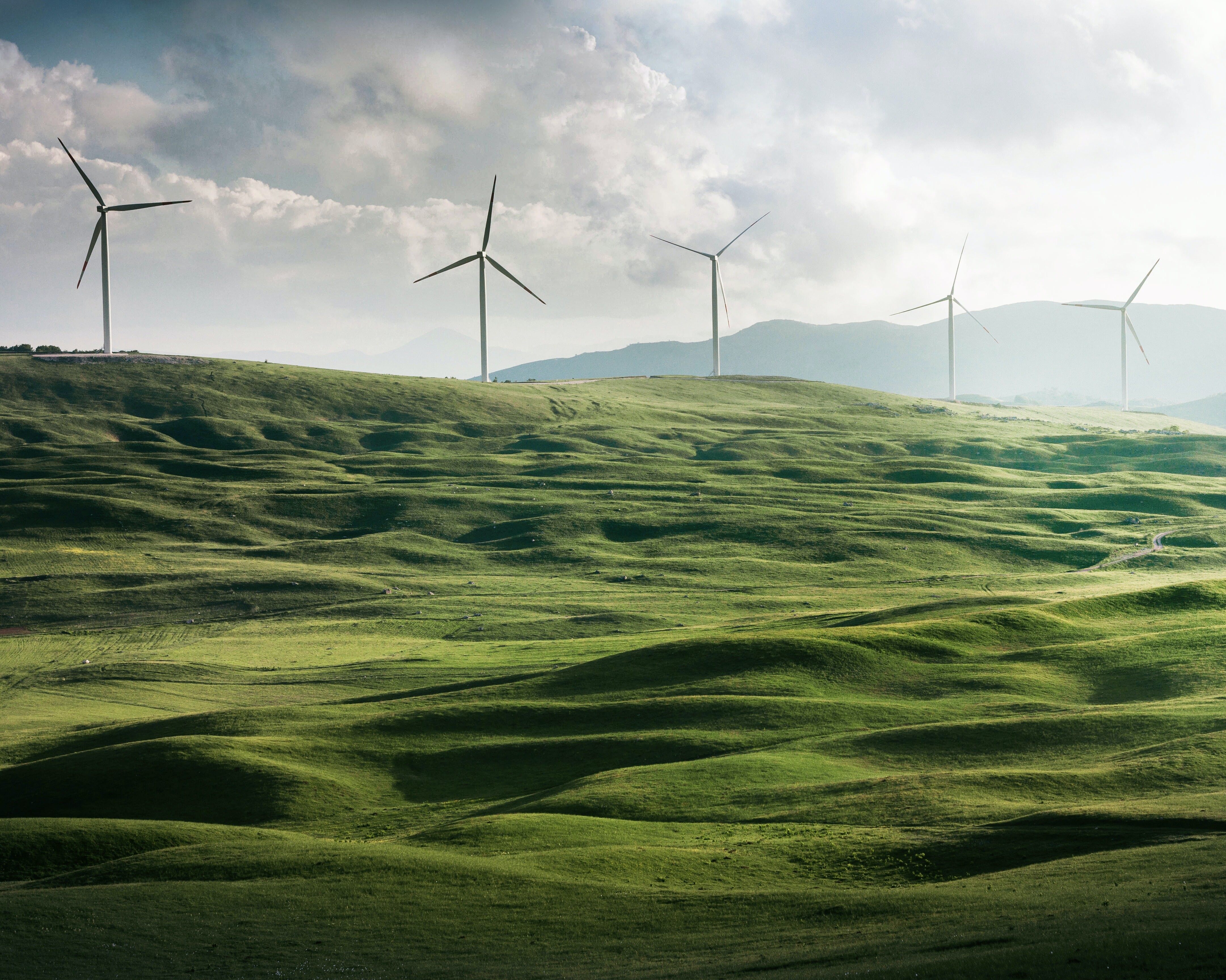 Sustainability Header